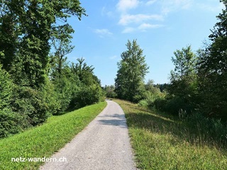 Wanderung von Muri via Flachsee nach Bremgarten